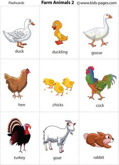 an image of farm animals and their names