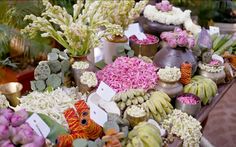 many different types of flowers and plants on display