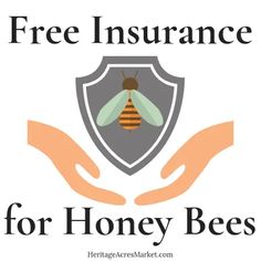 two hands holding a bee with the words free insurance for honey bees