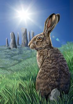 a rabbit is sitting in the grass next to some tall rock formations and blue sky