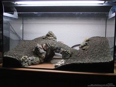 an aquarium with rocks and gravel in it