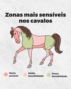 a horse with different colors on it's body and the words zonas mais senseis nos cavallos