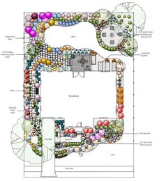 a plan for a garden with lots of plants