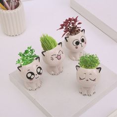 four ceramic cat planters with plants in them on a white surface next to a book