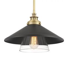 a black and gold pendant light with a clear glass shade on the bottom of it