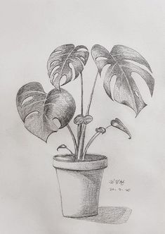 a pencil drawing of a potted plant with two hearts on it's leaves