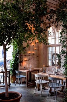 an indoor dining area with tables, chairs and potted plants on the wall behind them