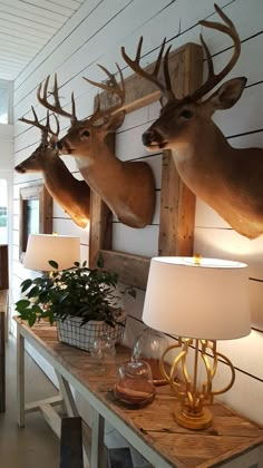 three deer heads mounted on the wall above a table with two lamps and vases