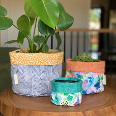 three potted plants sitting on top of a wooden table next to a planter