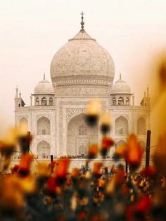 an image of a building that looks like it is in the middle of flowers