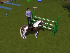 a person riding on the back of a brown and white horse next to a green fence