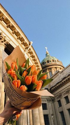 a bouquet of orange tulips is held in front of a large building with a domed roof