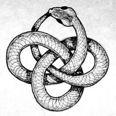 a black and white drawing of a snake