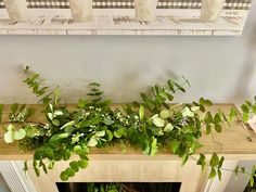 some green plants are growing on the mantle