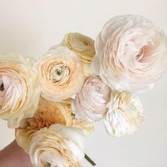 a person holding a bouquet of flowers in their hand