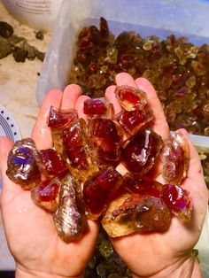 a person holding some kind of jelly in their hands with other food items around them