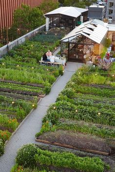 an aerial view of a vegetable garden with lots of plants and people sitting on benches