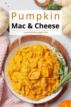 pumpkin mac and cheese in a white bowl