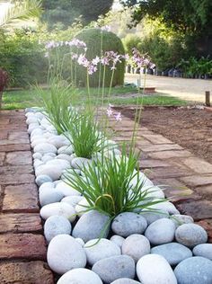 a garden with rocks and plants in it