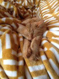 an orange cat sleeping on top of a yellow and white striped comforter covered in blankets