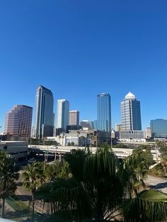 the city is full of tall buildings with palm trees in front of them and blue skies above