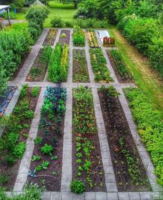 an aerial view of a garden with many different types of plants and vegetables in it