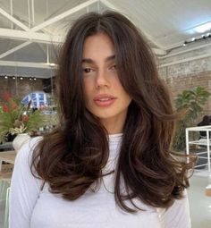 Hair inspo Volumous hair Short hair with layers and bangs Haircuts For Egg Shaped Face, Dark Brown Hair Cuts Medium, Layered Blowout Hair Medium, Blowout Hair Brown, Medium Length Haircut With Layers Straight Hair Trending Hairstyles, Straight Brown Hair With Layers, Brown Blowout Hair, Medium Length Hair With Layers Brunette, Brunette Medium Length Hair With Layers