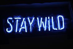 a blue neon sign that says stay wild