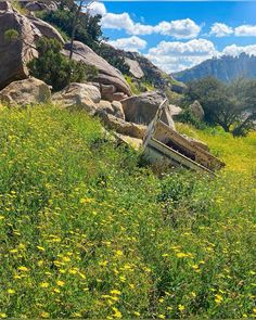 an old boat sitting on top of a lush green hillside next to rocks and flowers