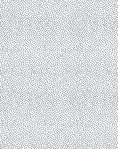 a black and white dotted background with small dots in the center, as well as smaller dots