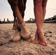 a person standing next to a brown horse on top of a sandy ground covered in dirt