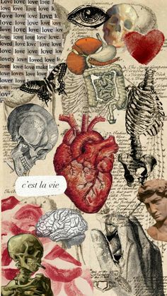 an altered collage of human body parts