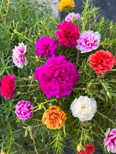 a bunch of flowers that are sitting in the grass and on top of each other