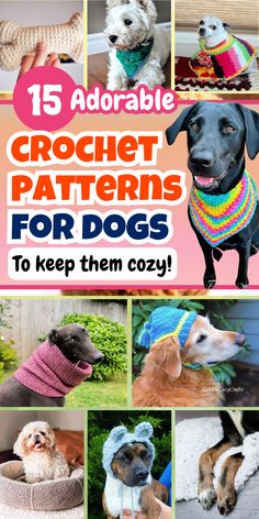 15 adorable crochet patterns for dogs to keep them cozy