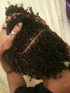 High Curly Ponytail, Locks Hairstyles, Sisterlocks Journey, Hair Locs