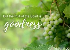 a bunch of grapes hanging from a vine with the words, but the fruit of the spirit is goodness