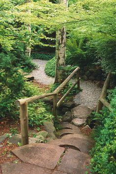 a stone path in the middle of a forest