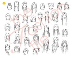 the various hairs and head shapes for different types of women's hair, from long - haired to short - haired