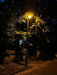 a street light sitting on the side of a road next to a tree filled forest