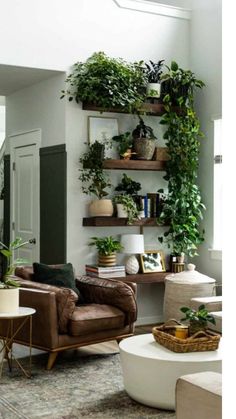 some plants are sitting on shelves near a window