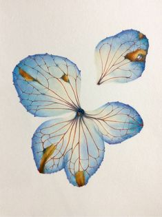 three blue leaves are arranged in the shape of a flower