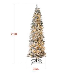 a christmas tree with white lights and snow on the top is shown in front of a white background