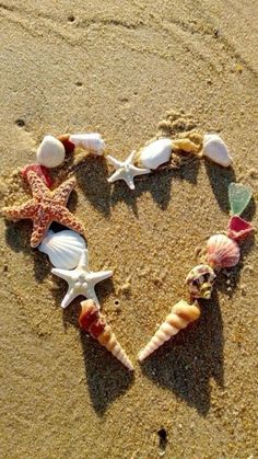 heart made out of seashells and starfish on the beach