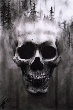 a drawing of a skull with trees in the background