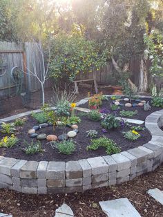 an outdoor garden with various plants and rocks in the center, surrounded by trees and shrubs