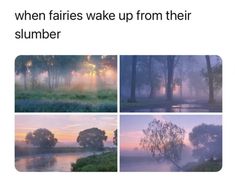 four different pictures with trees in the background and fog on the ground, one has an image that says when fairies wake up from their slumber