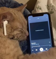 an orange cat laying on top of a bed next to a cell phone with ear buds in it's ears