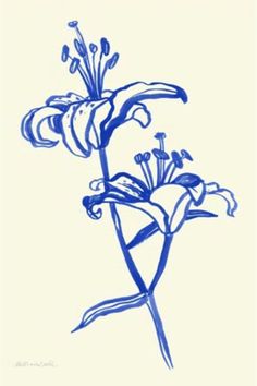 a drawing of a flower on a white background