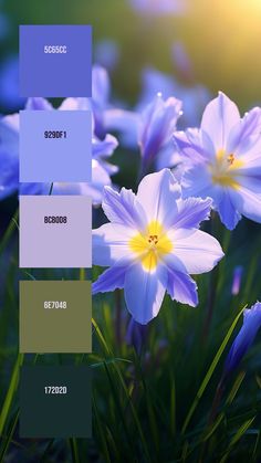 Colors:
5C65CC
929DF1
BCB0D8
6E7048
172D2D Radial Symmetry, Pantone Color Chart, Baby Room Themes, Drops Of Water, Bokeh Effect, Morning Dew, Model Paint, Water Can