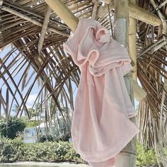 a pink scarf hanging from a palm tree